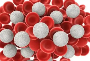 10 Fungsi Sel Darah Putih yang Penting untuk Sistem Kekebalan Tubuh 78 kotamojokertodotcom