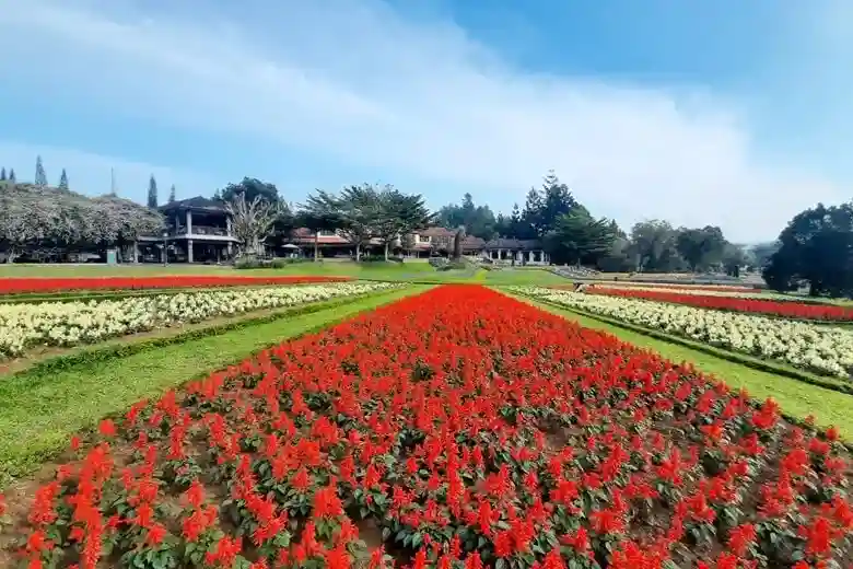 10 Rekomendasi Taman Bunga di Mojokerto yang Cocok Untuk Piknik 97 kotamojokertodotcom