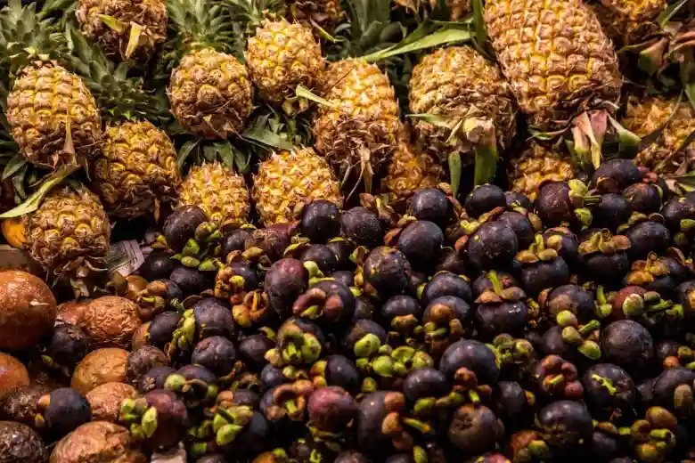 6 Jenis Buah Lokal yang Menjanjikan untuk Bisnis Anda 20 kotamojokertodotcom