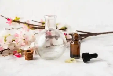 8 Aroma Wangi Rileks yang Cocok Jadi Aromaterapi 53 kotamojokertodotcom