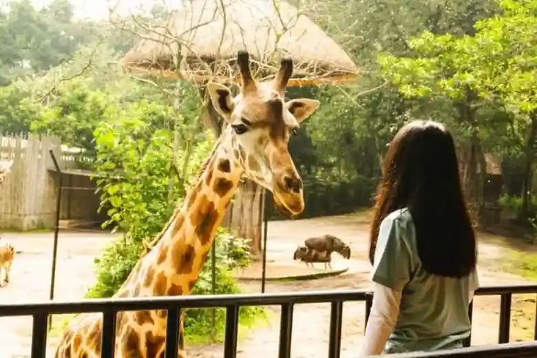 Mengenal 7 Kebun Binatang di Mojokerto yang Cocok untuk Liburan Keluarga 17 kotamojokertodotcom